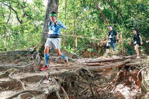 BIB: 
                            <button type="button" onclick="openModal(27718862)" class="btn btn-primary btn-sm float-right btn-popup" data-toggle="modal" data-target=".modal-high-quality">
                        <i class="fas fa-shopping-cart"></i> Add to Cart
                    </button>
                                            <button type="button" onclick="isThisMe(27718862, true)" class="btn btn-success btn-sm float-right btn-popup btn-isme hidden" data-toggle="tooltip" data-placement="bottom" title="นี่คือรูปของคุณใช่ไหม คลิกที่นี่เพื่อเอาเข้าอัลบั้ม">
                        <i class="fas fa-plus"></i> Add to album
                    </button>
                    <button type="button" onclick="isThisMe(27718862, false)" class="btn btn-warning btn-sm float-right btn-popup btn-isnotme hidden">
                        <i class="fas fa-ban"></i> Remove from album
                    </button>